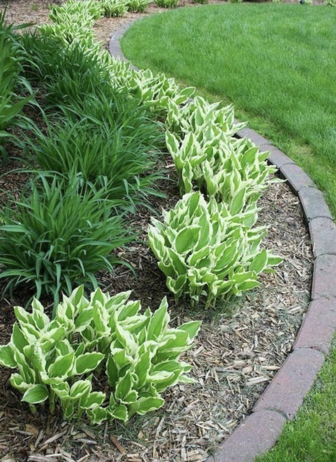 Arid climate landscape solution